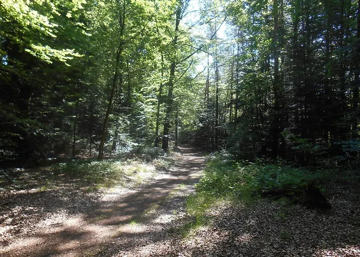 Gemeinschaftszentrum Hotell *